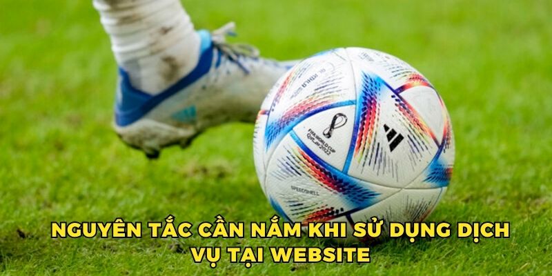 Nguyên tắc cần nắm khi sử dụng dịch vụ tại website