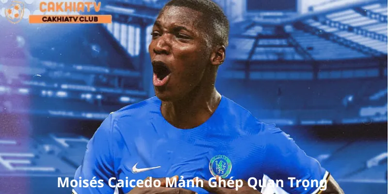 Moisés Caicedo - Chelsea: Mảnh Ghép Quan Trọng